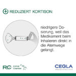 CEGLA RC-Animal Chamber Inhalierhilfe für Pferde